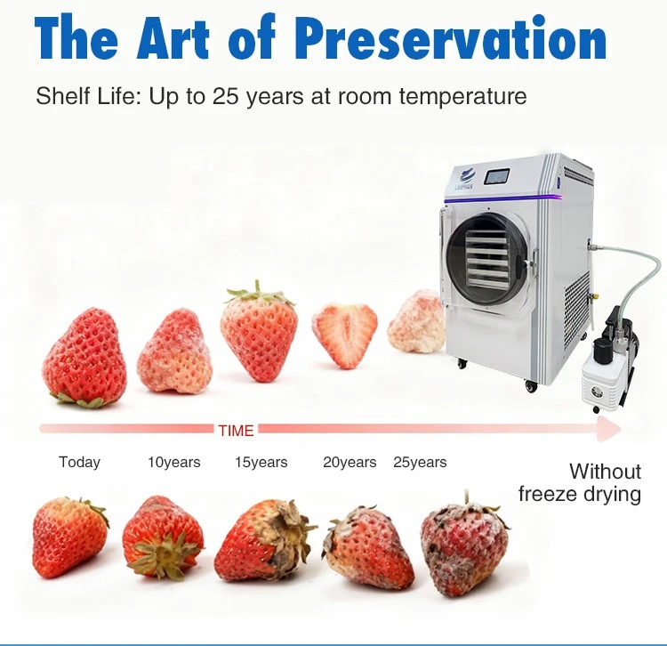Small Home Freeze Dryer Machine Advantages Small Home Freeze Dryer Machine Advantages